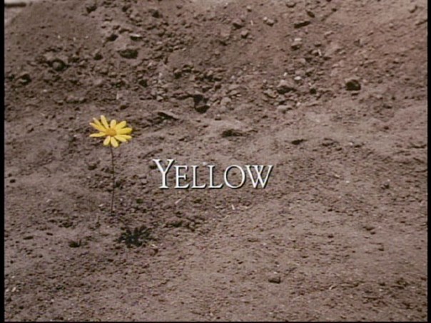 Tales From the Crypt yellow